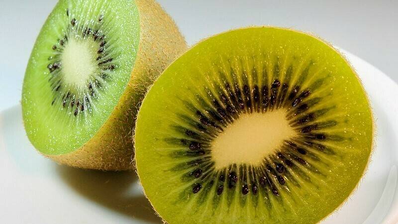kiwi-3614653_960_720|kiwi-1293596_960_720